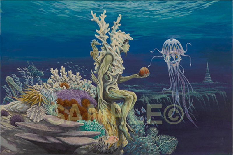 Tales of the Sea Urchin